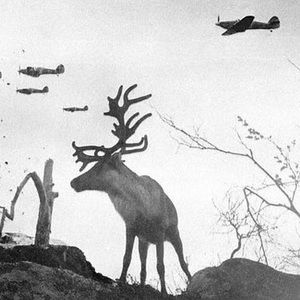 Meet your Posher, Steve